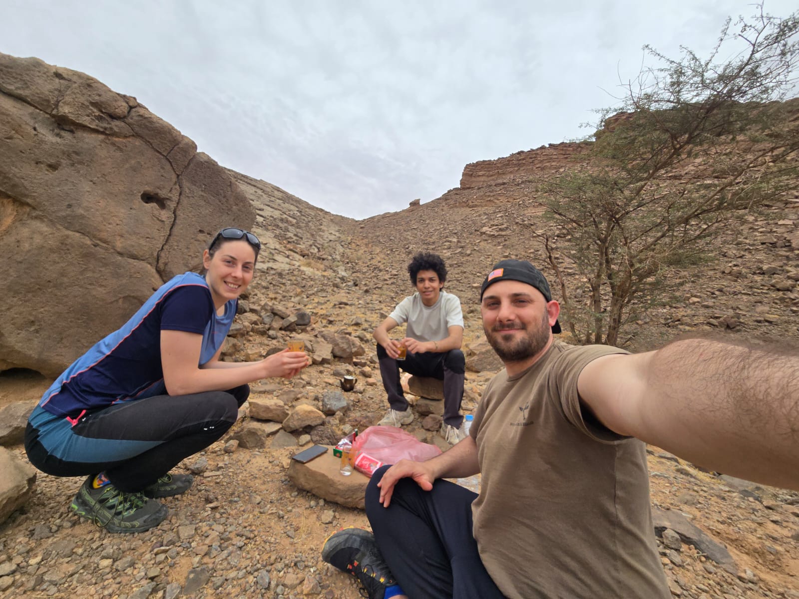 About Sahara Fossils
