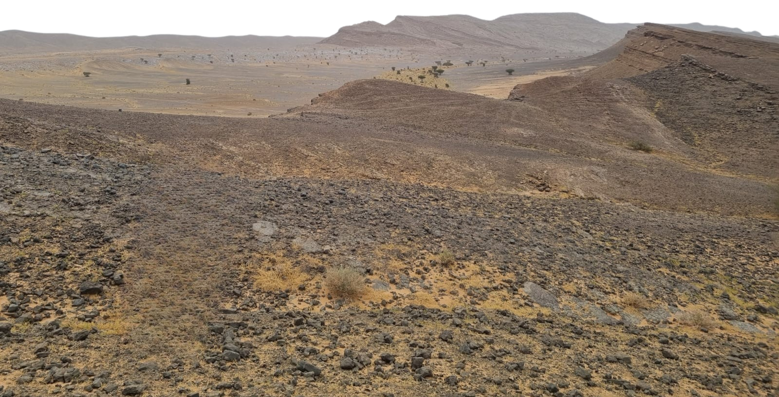 Sahara landscape