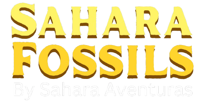 Sahara Fossils